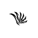 Blayer